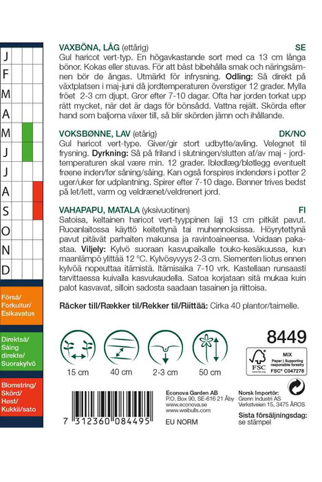 Voksbønne, lav 'Sonesta'
